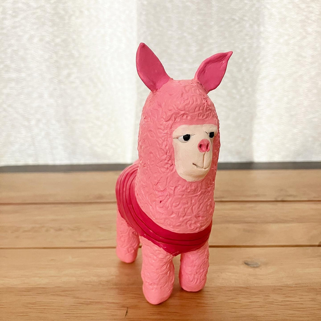 pig-paca