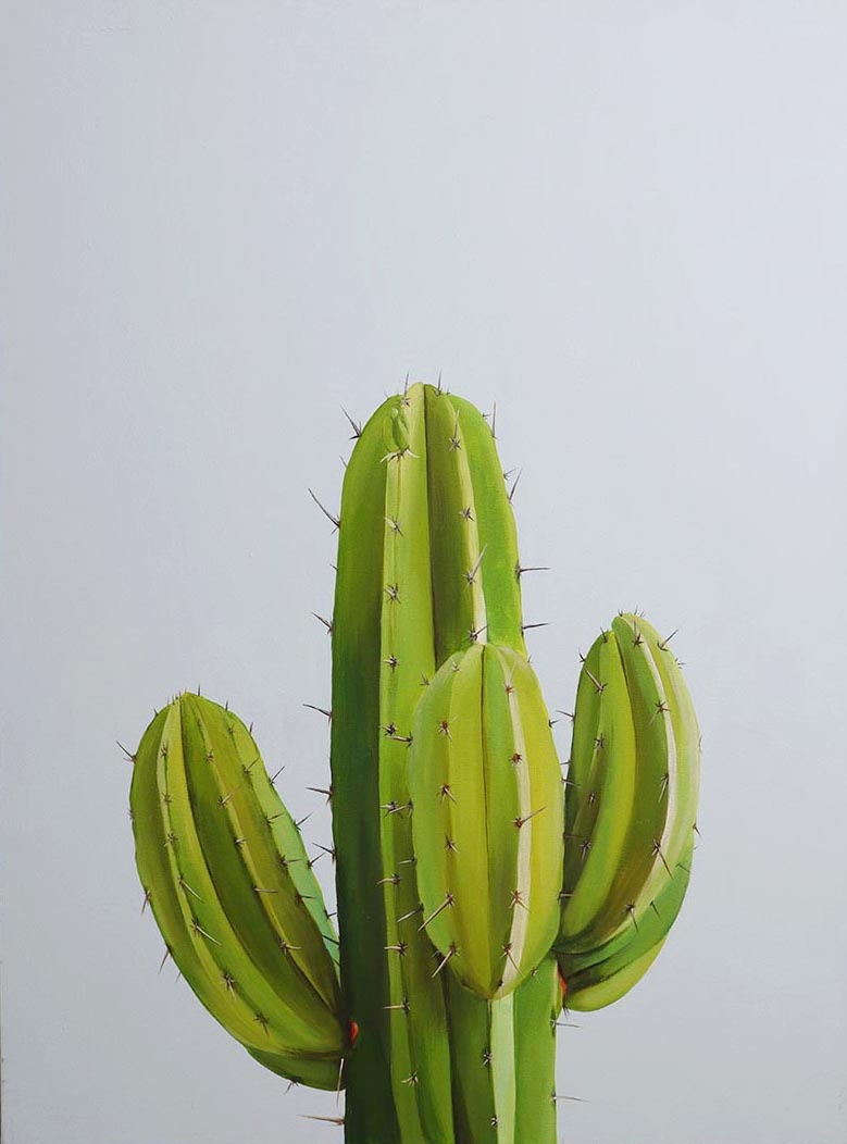 Color - Cactus